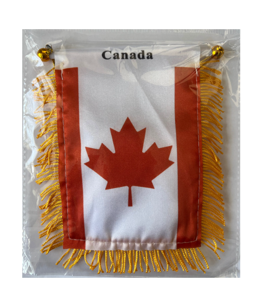 Mini Banner - All Nation Flag