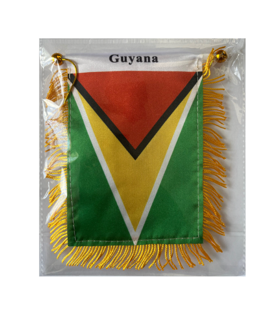 Mini pancarta colgante con la bandera del país