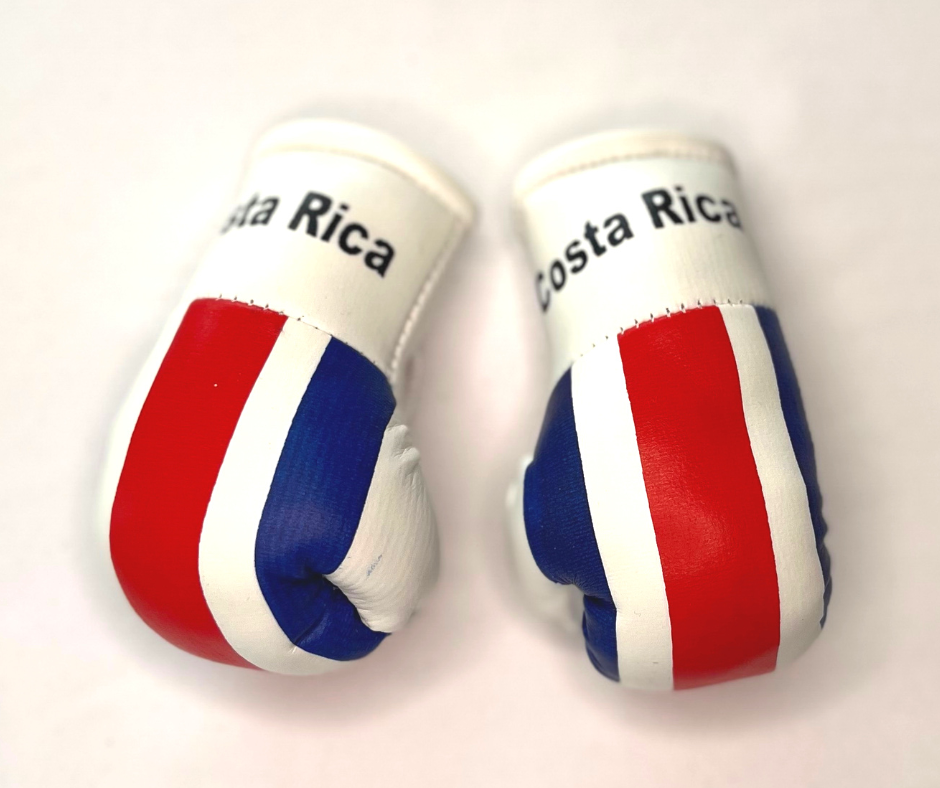 Mini guantes de boxeo con banderas de países colgando