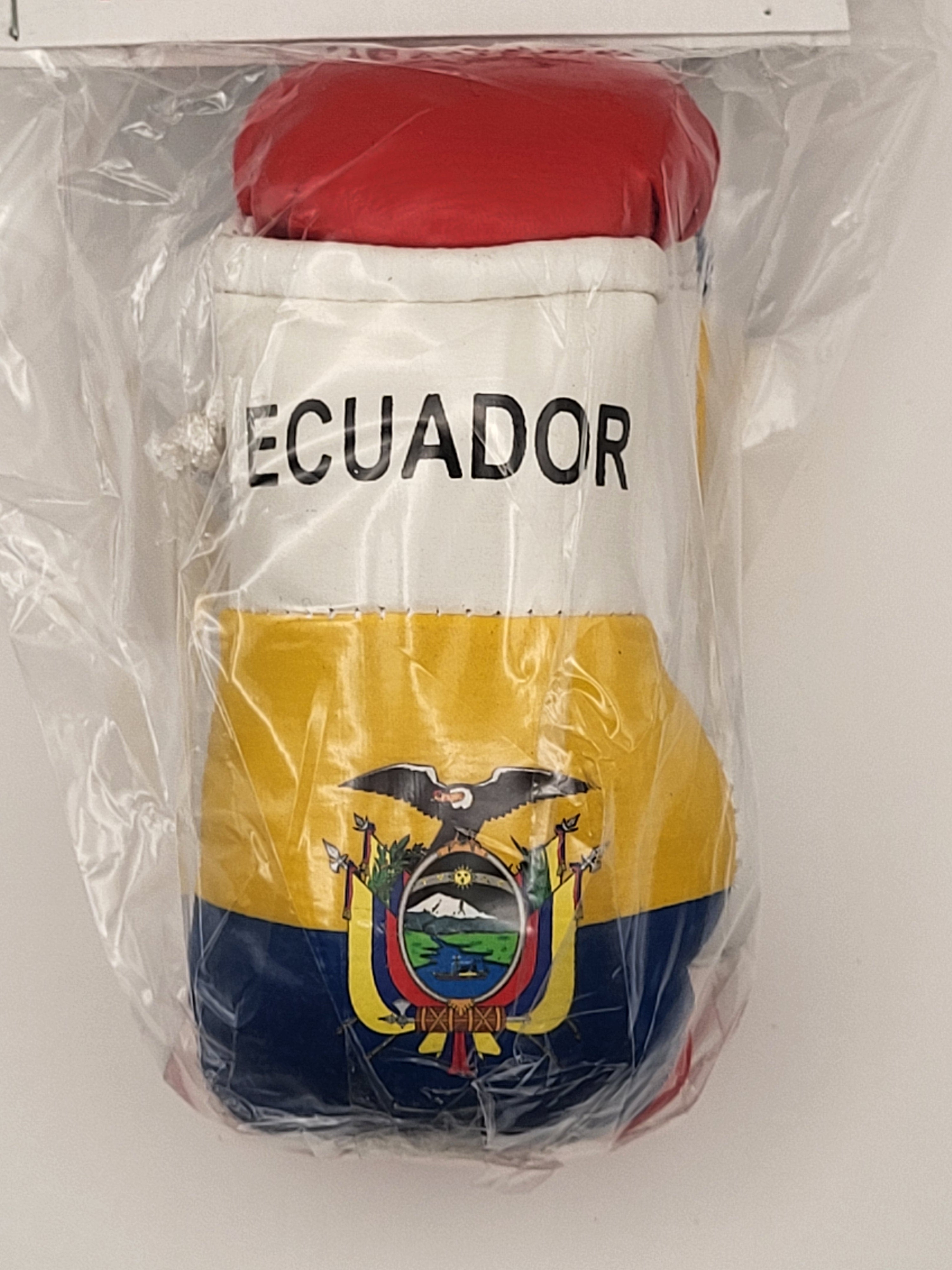 Mini guantes de boxeo con banderas de países colgando