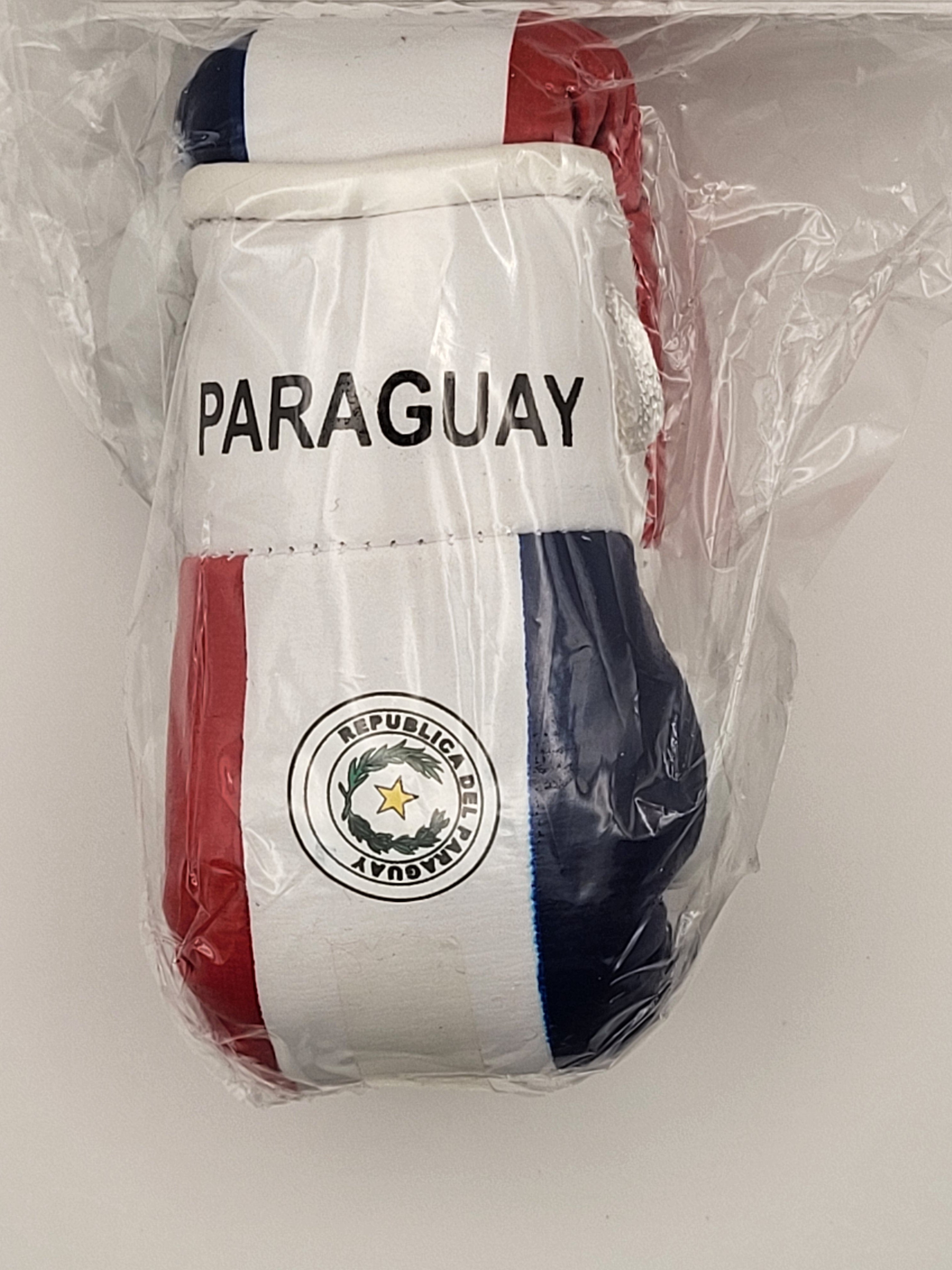 Mini guantes de boxeo con banderas de países colgando
