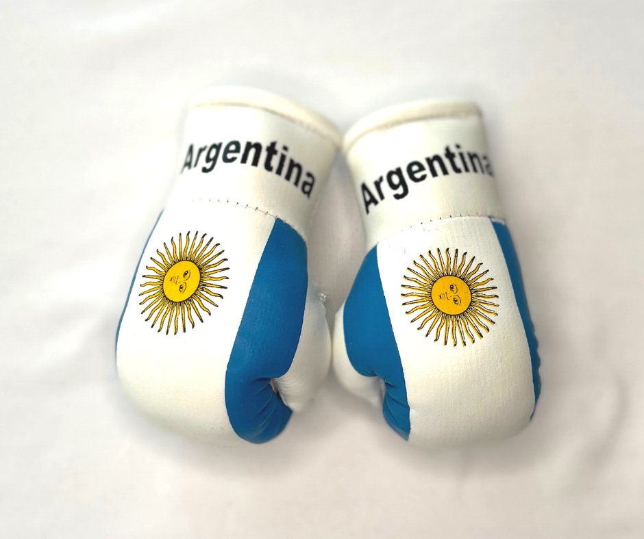 Mini Boxing Gloves - All Nation Flag