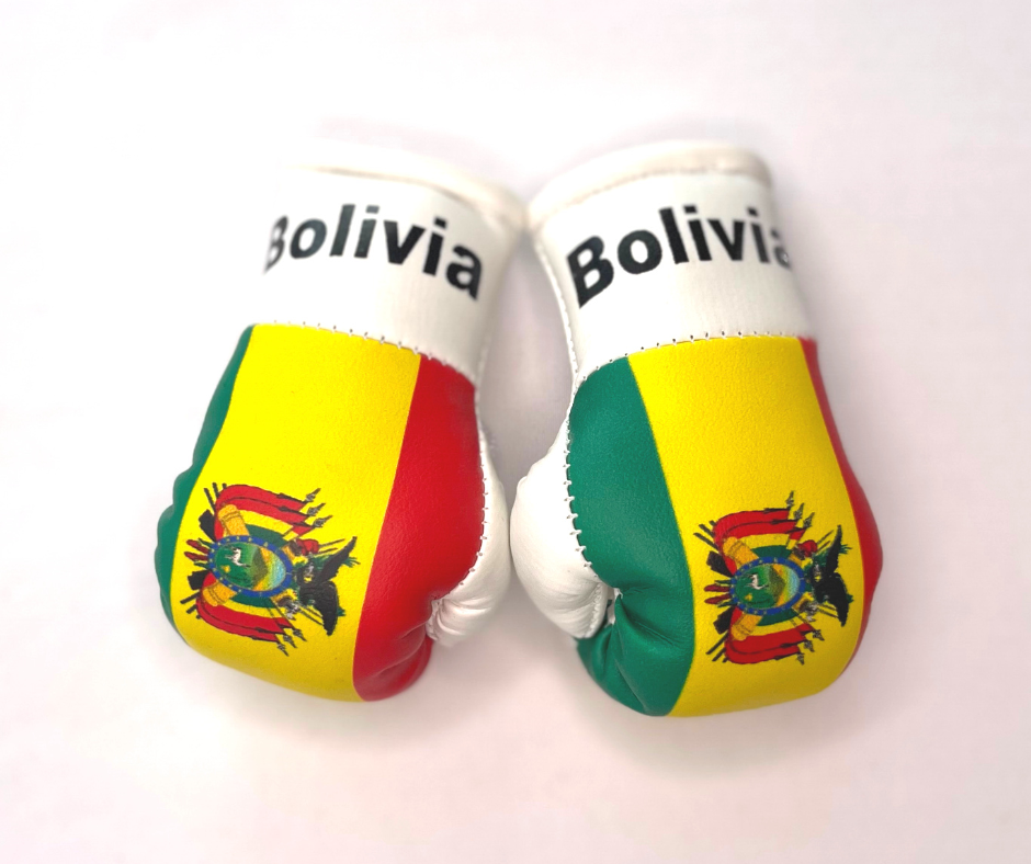 Mini Boxing Gloves - All Nation Flag