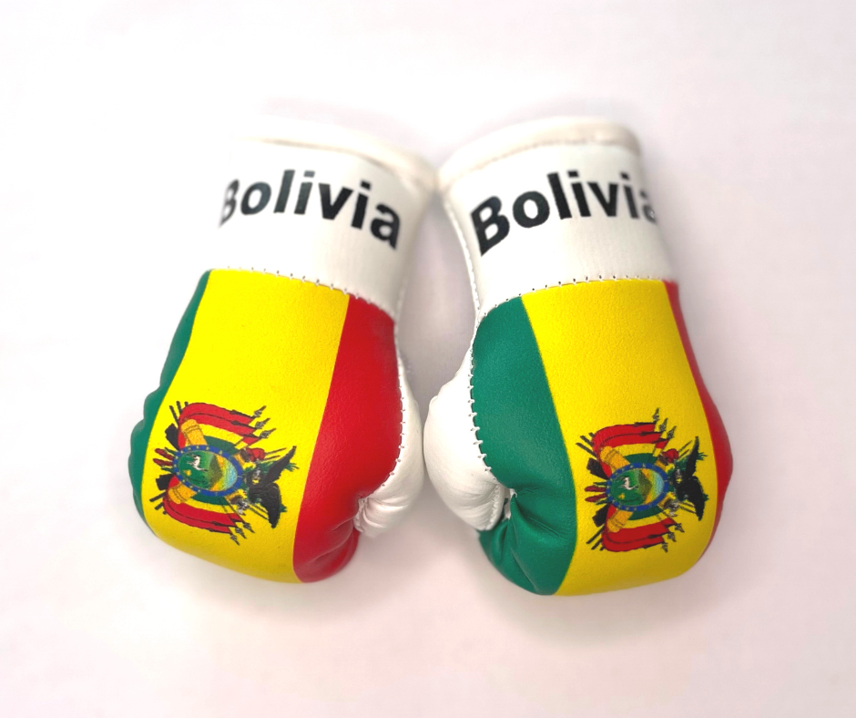 Mini guantes de boxeo con banderas de países colgando