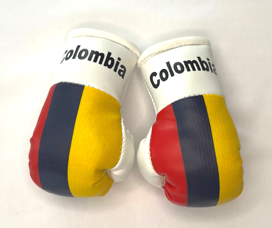 Mini Boxing Gloves - All Nation Flag