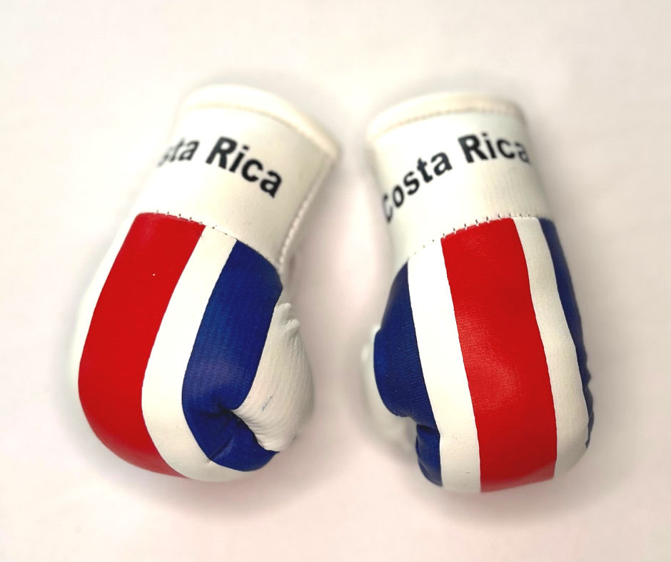 Mini Boxing Gloves - All Nation Flag