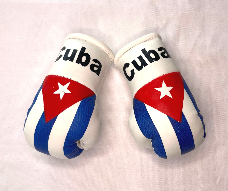 Mini Boxing Gloves - All Nation Flag