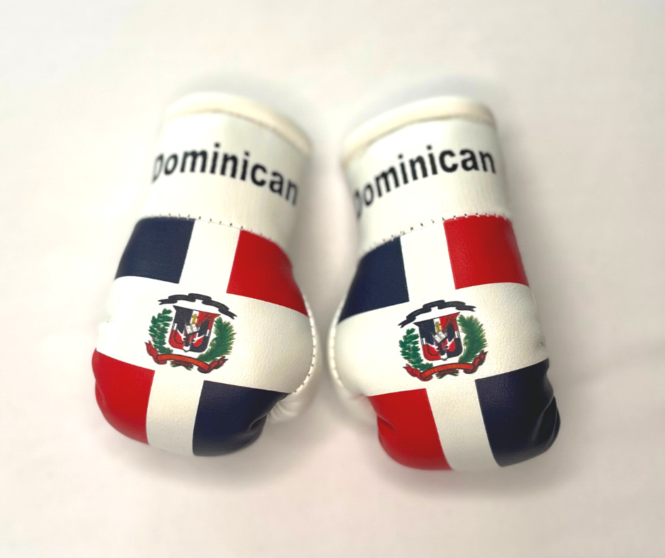 Mini Boxing Gloves - All Nation Flag