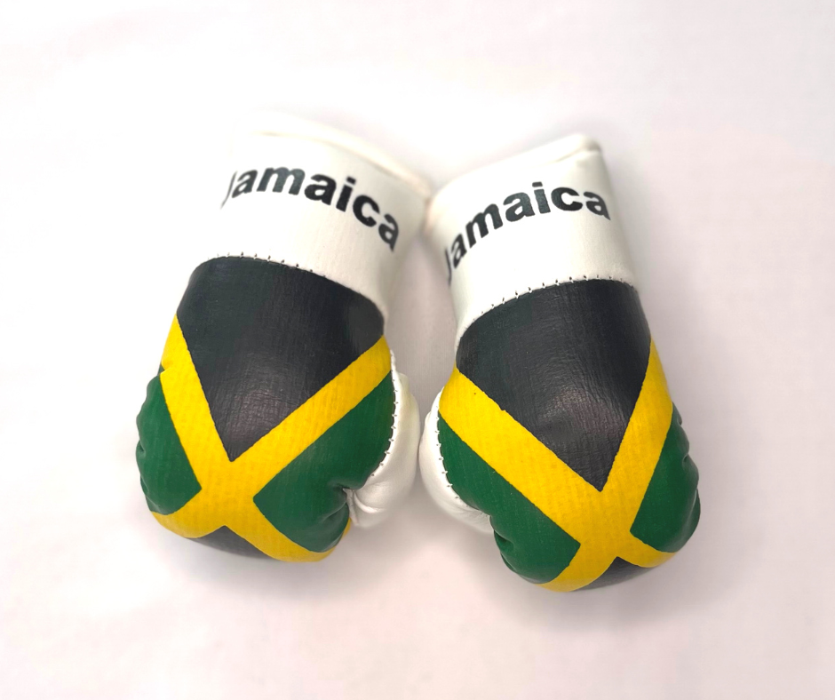 Mini Boxing Gloves - All Nation Flag