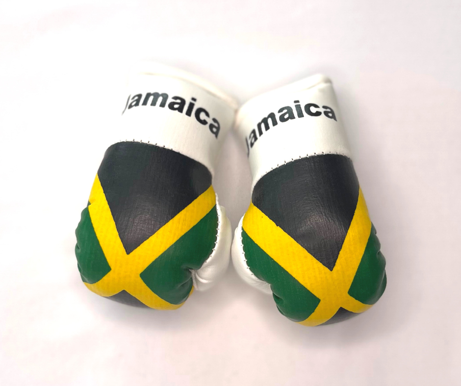 Mini guantes de boxeo con banderas de países colgando