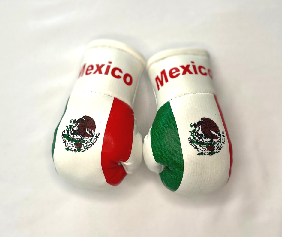 Mini Boxing Gloves - All Nation Flag