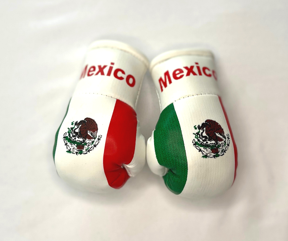 Mini guantes de boxeo con banderas de países colgando