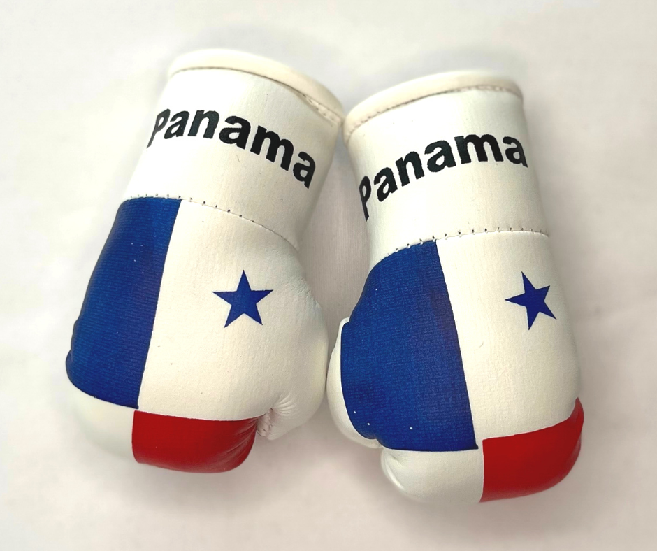 Mini Boxing Gloves - All Nation Flag