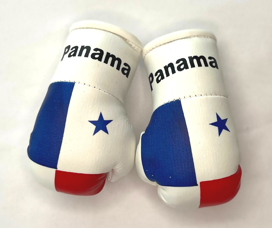 Mini guantes de boxeo con banderas de países colgando
