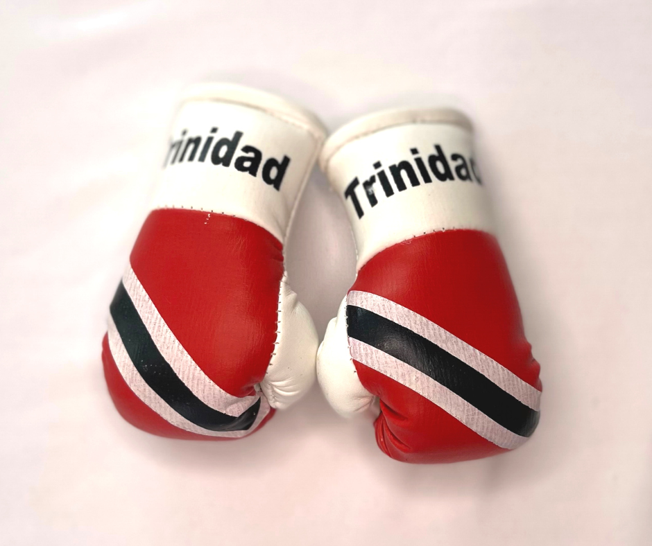 Mini Boxing Gloves - All Nation Flag