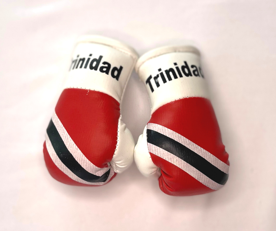 Mini guantes de boxeo con banderas de países colgando