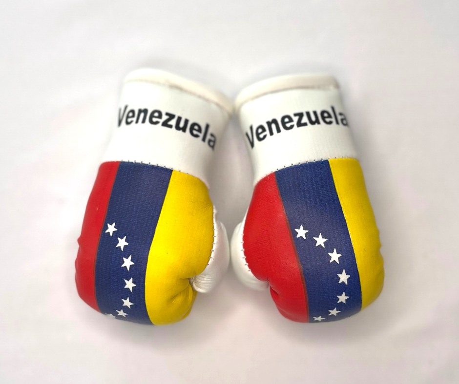 Mini Boxing Gloves - All Nation Flag