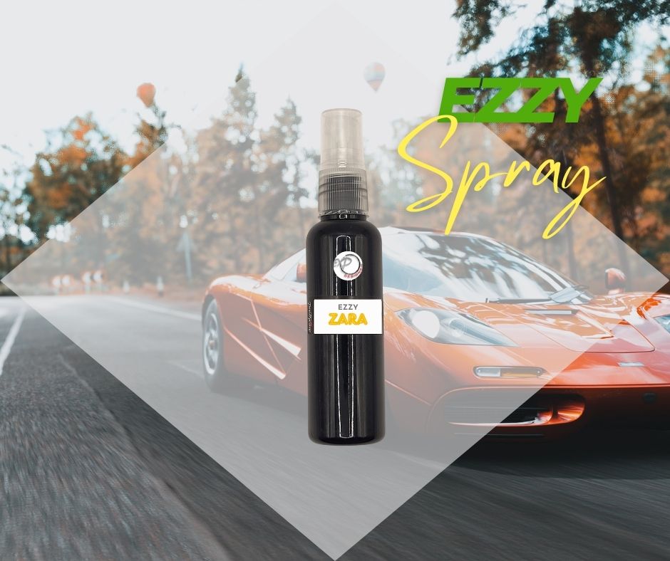 Ezzy Spray Bottle